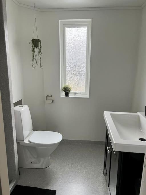 Apartment In The Center Of Torshavn, Free Parking. Екстериор снимка